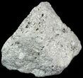 Rough Pyrite Cluster with Druzy Quartz - Peru #50122-1